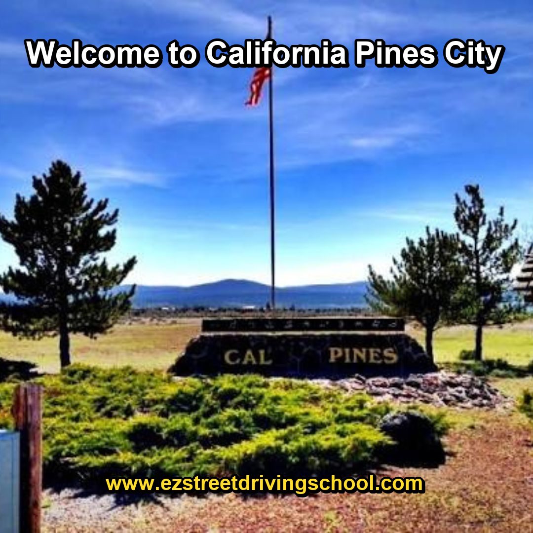 Driving Lessons in California Pines